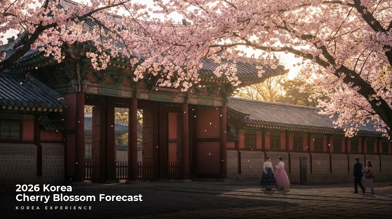 2026 Korea Cherry Blossom Forecast: Peak Bloom Dates & Best Spots
